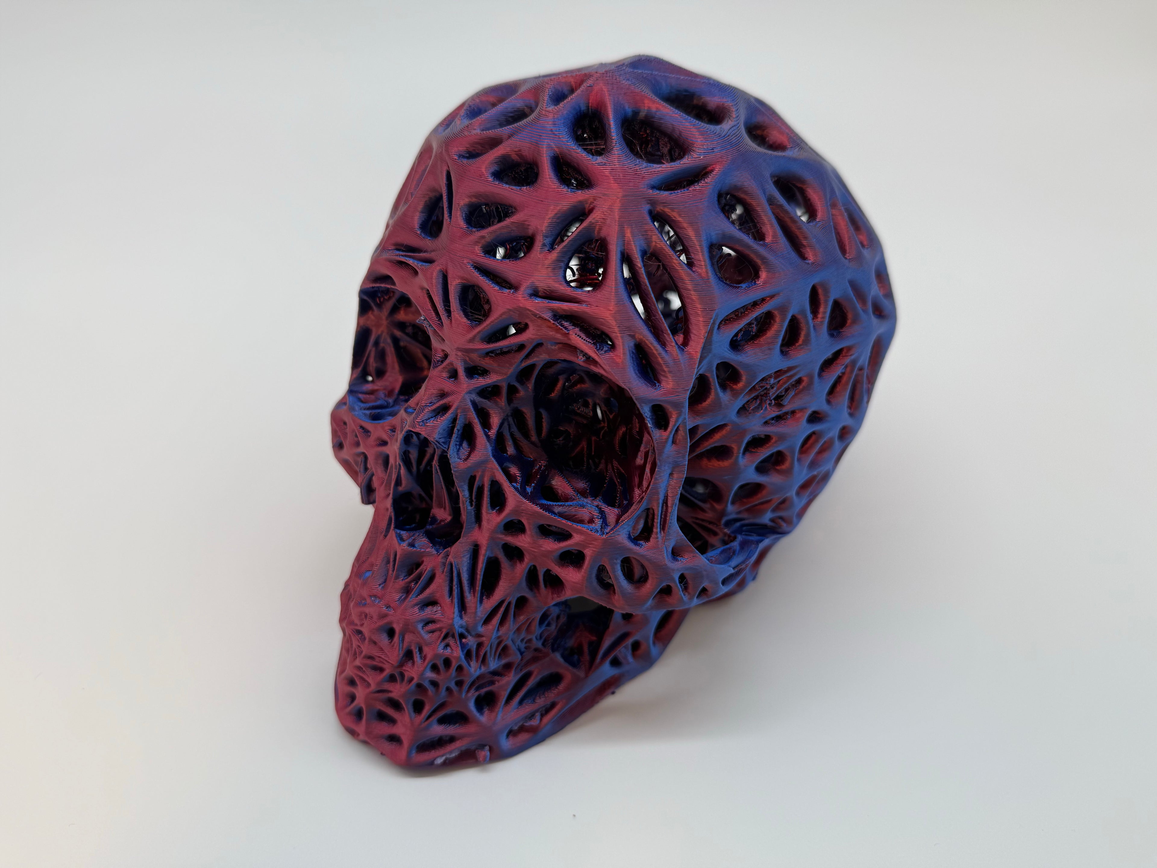 Menschlicher Schädel in Originalgröße – Premiumqualität