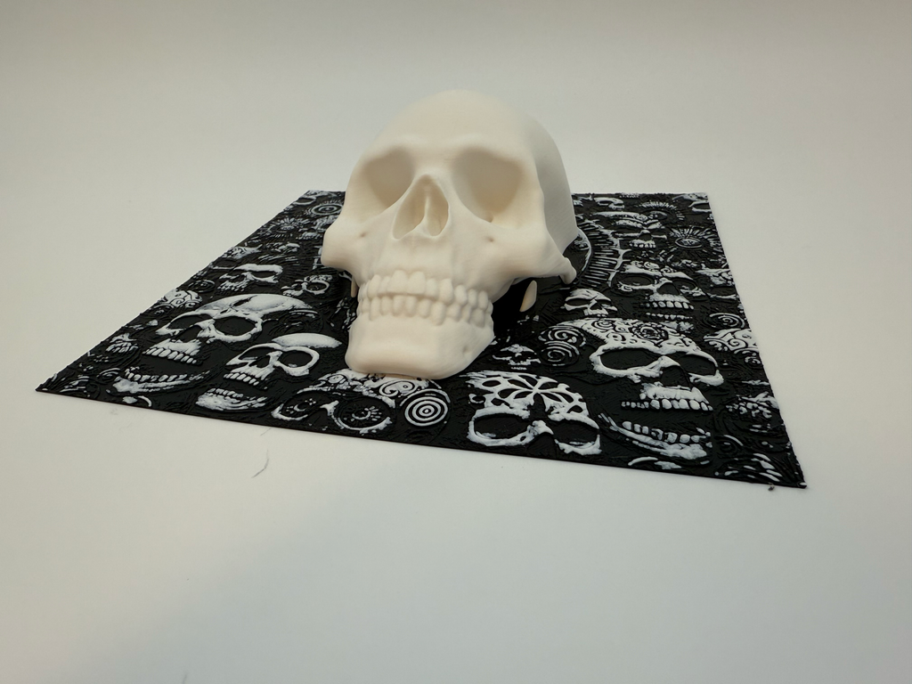 Menselijke Schedel Met Achtergrond - Premium Quality