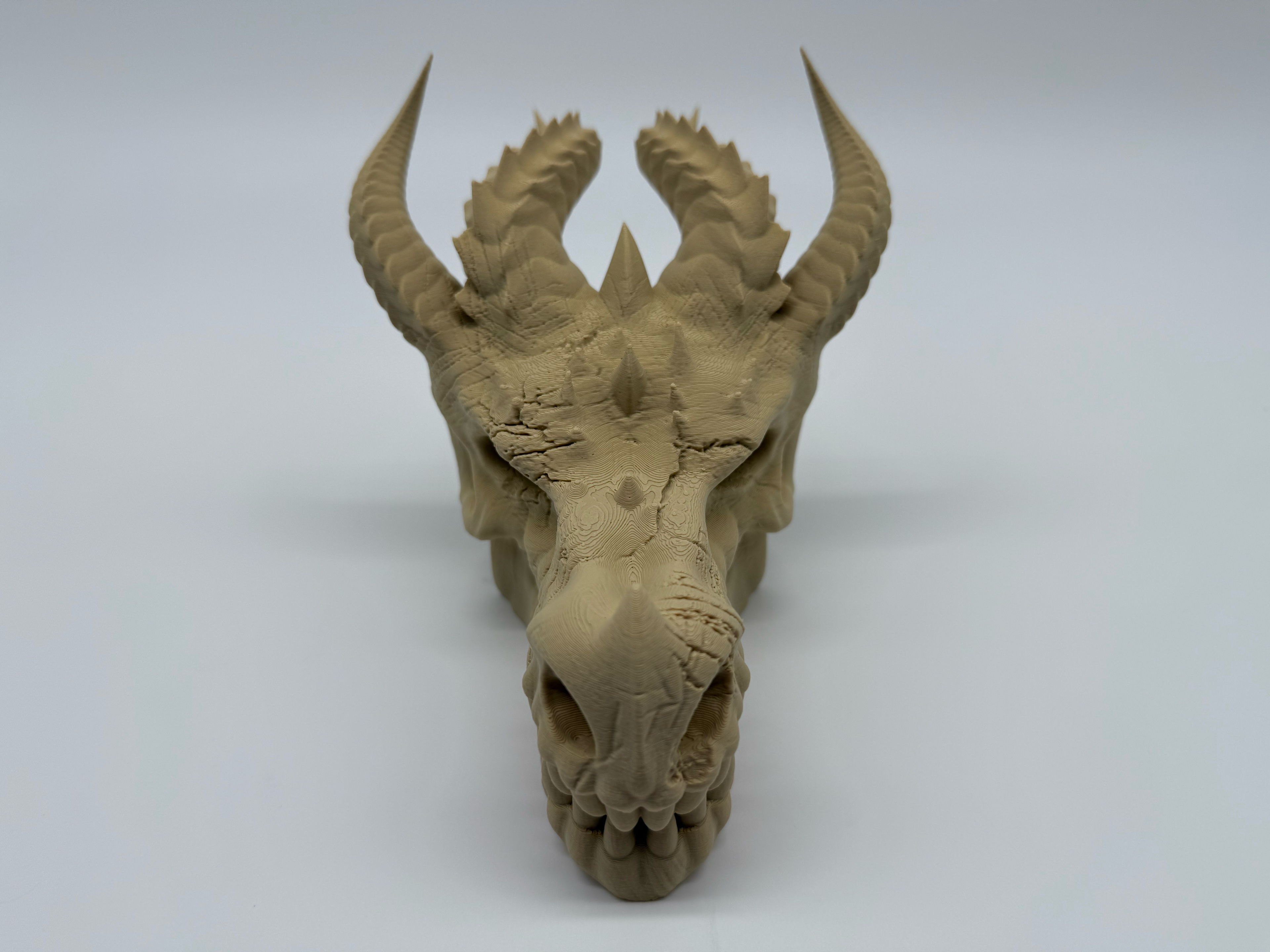 Dragon Skull -Premium Quality