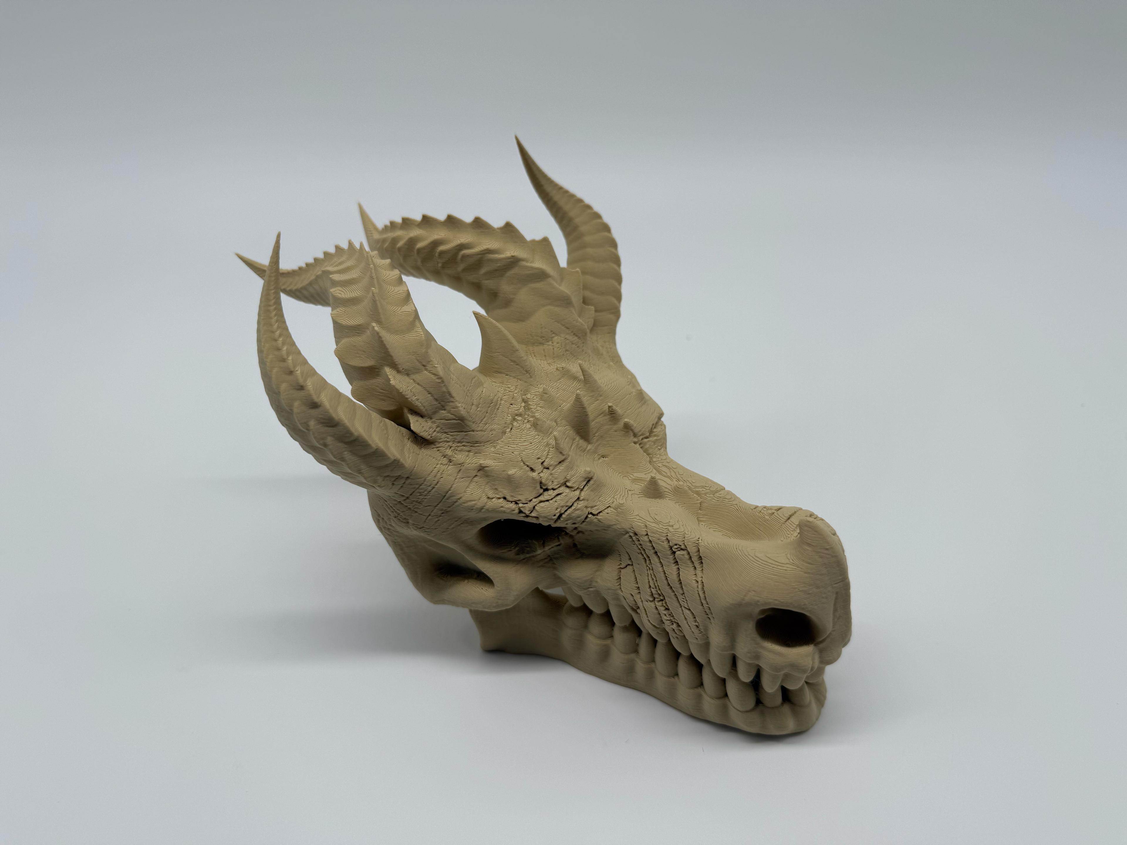 Dragon Skull -Premium Quality