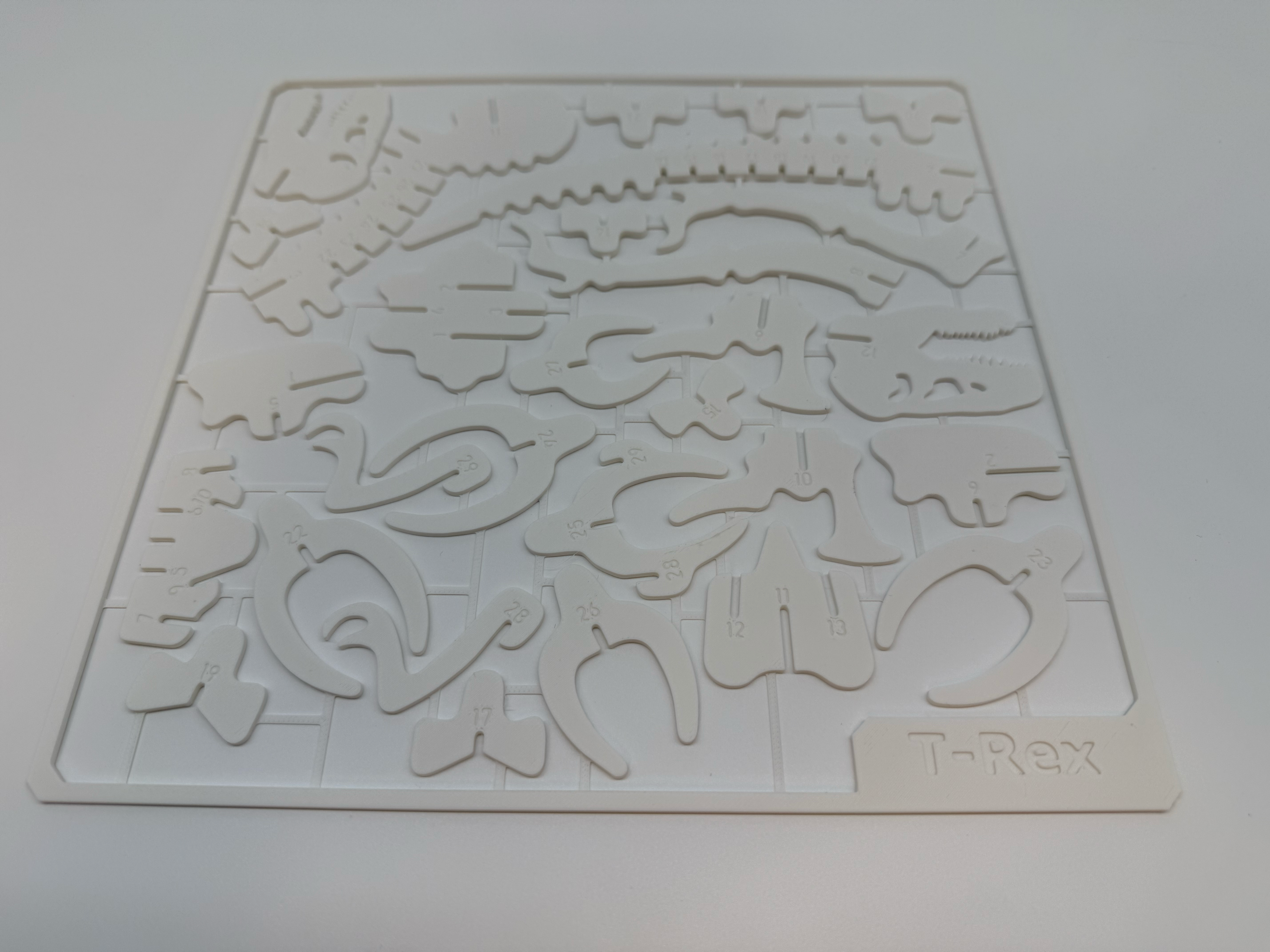 T-Rex Skeleton Model - Premium Quality