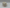 The Last of Us Zombie Plantenpot – Uniek Post-Apocalyptisch Design